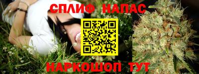ГАЛЛЮЦИНОГЕННЫЕ ГРИБЫ Партизанск