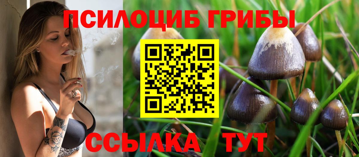 Псилоцибиновые грибы Cubensis Заринск