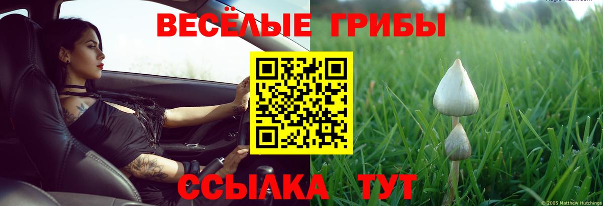 Заринск  Псилоцибиновые грибы ЛСД  Галлюциногенные грибы Cubensis  где продают наркотики  Вход с VPN 